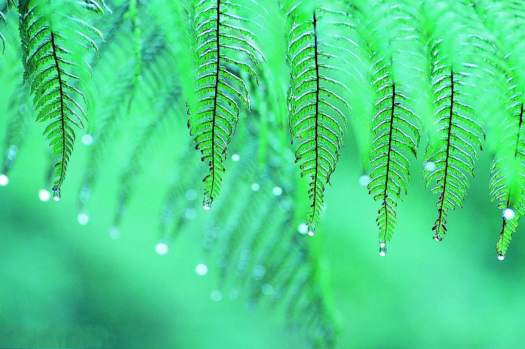 亲子和谐雨露